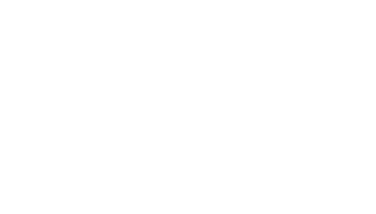 snitch logo